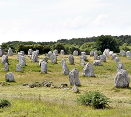 Steinfelder von Carnac