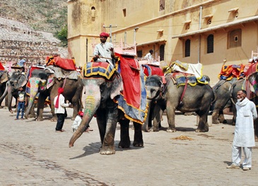 Faszinierendes Indien - Reisen nach Rajasthan