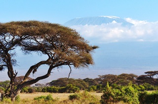 Reiseführer Kenia mit Kilimandscharo