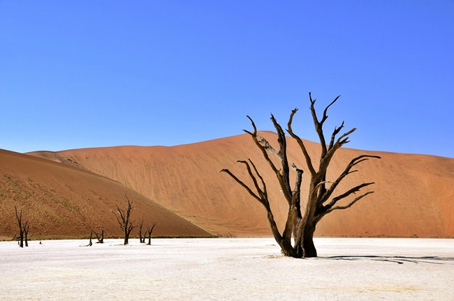 Reiseziel südliches Afrika - Reiseführer Namibia