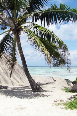 Reiseliteratur Seychellen