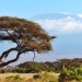Reiseführer Kenia mit Kilimandscharo